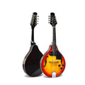 Electric Mandolin Spruce 8 Strings Sunburst S274