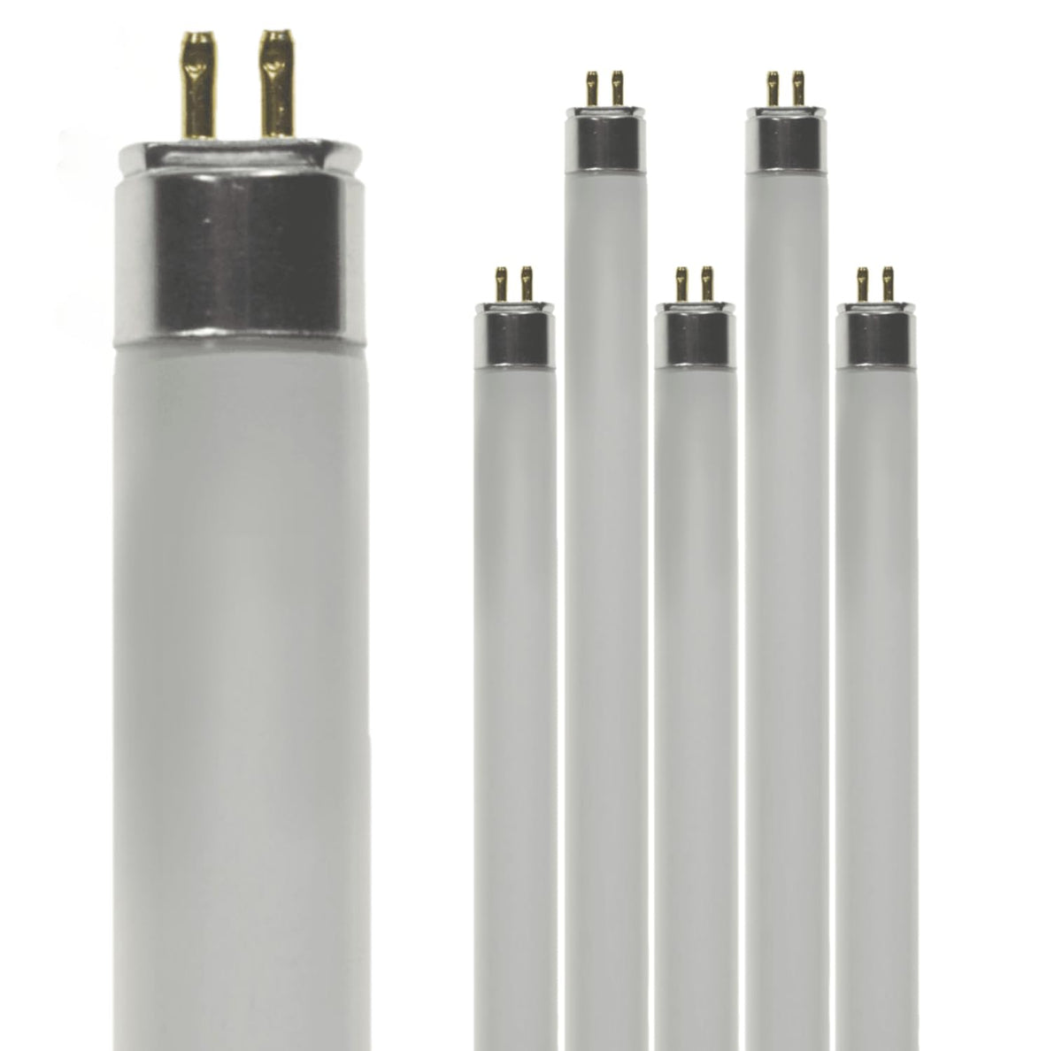 24 Inch 24W 4100K Cool White T5 Fluorescent Bulb Pack of 6 C8188