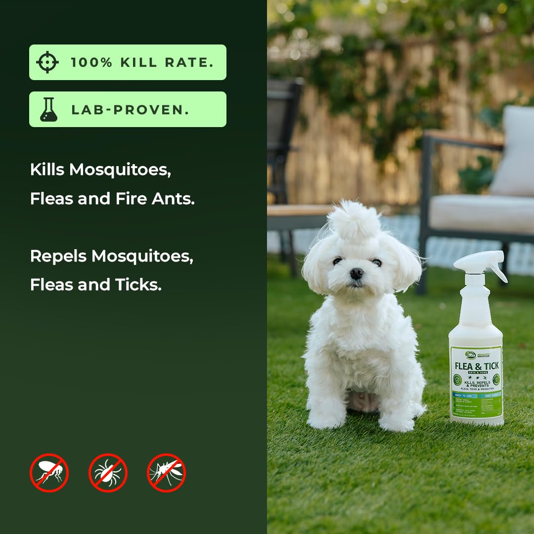 Lemongrass Flea Tick Mosquito Spray 16 OZ C537