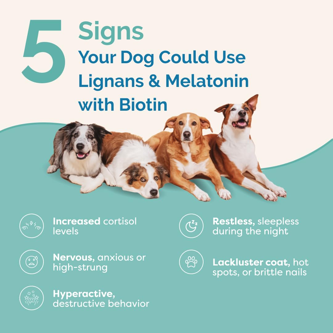 Lignans & Melatonin with Biotin Blend for Dogs Over 25 lb O390973