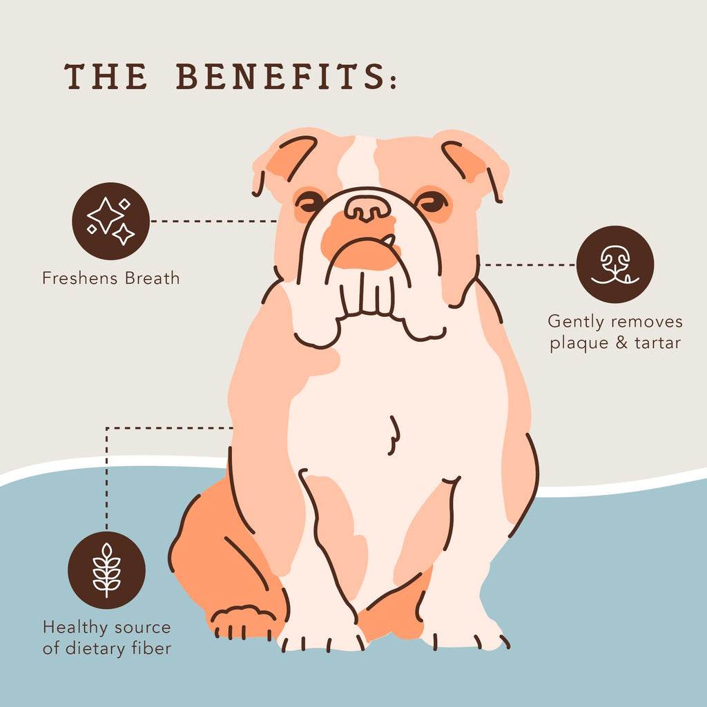Dental Chews for Dogs 18 Count F792