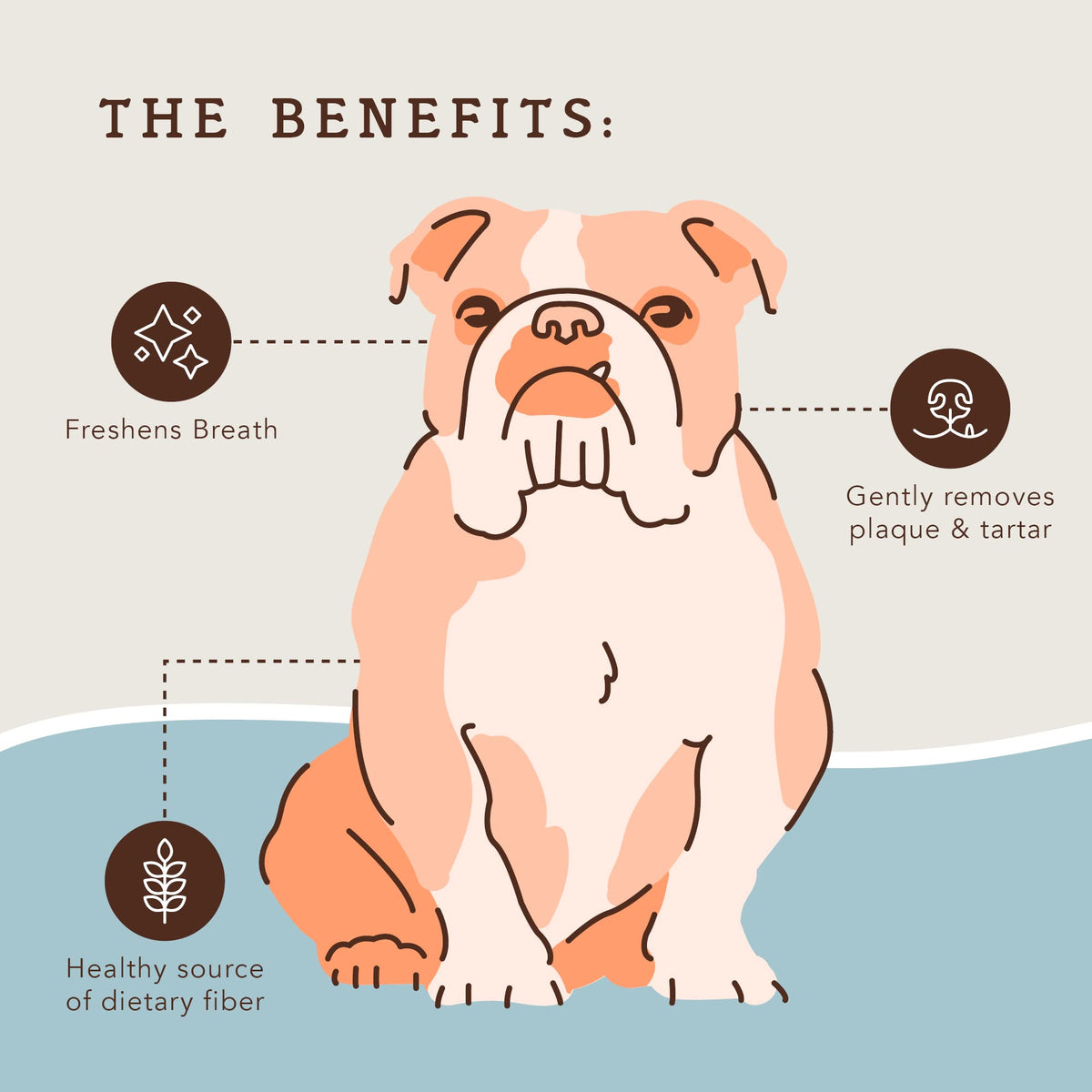 Dental Chews for Dogs 18 Count F792