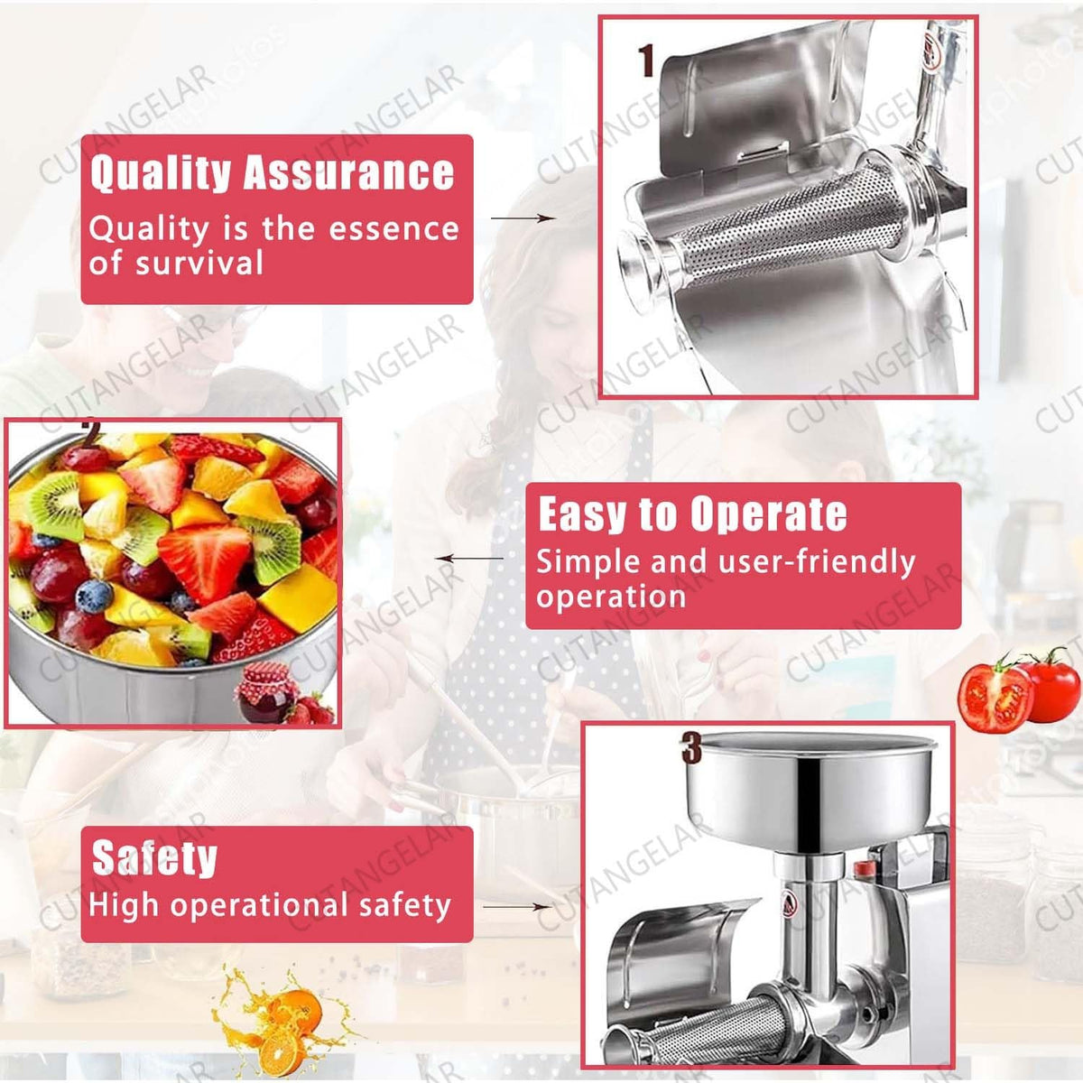 450W Stainless Steel Electric Tomato Strainer B58238