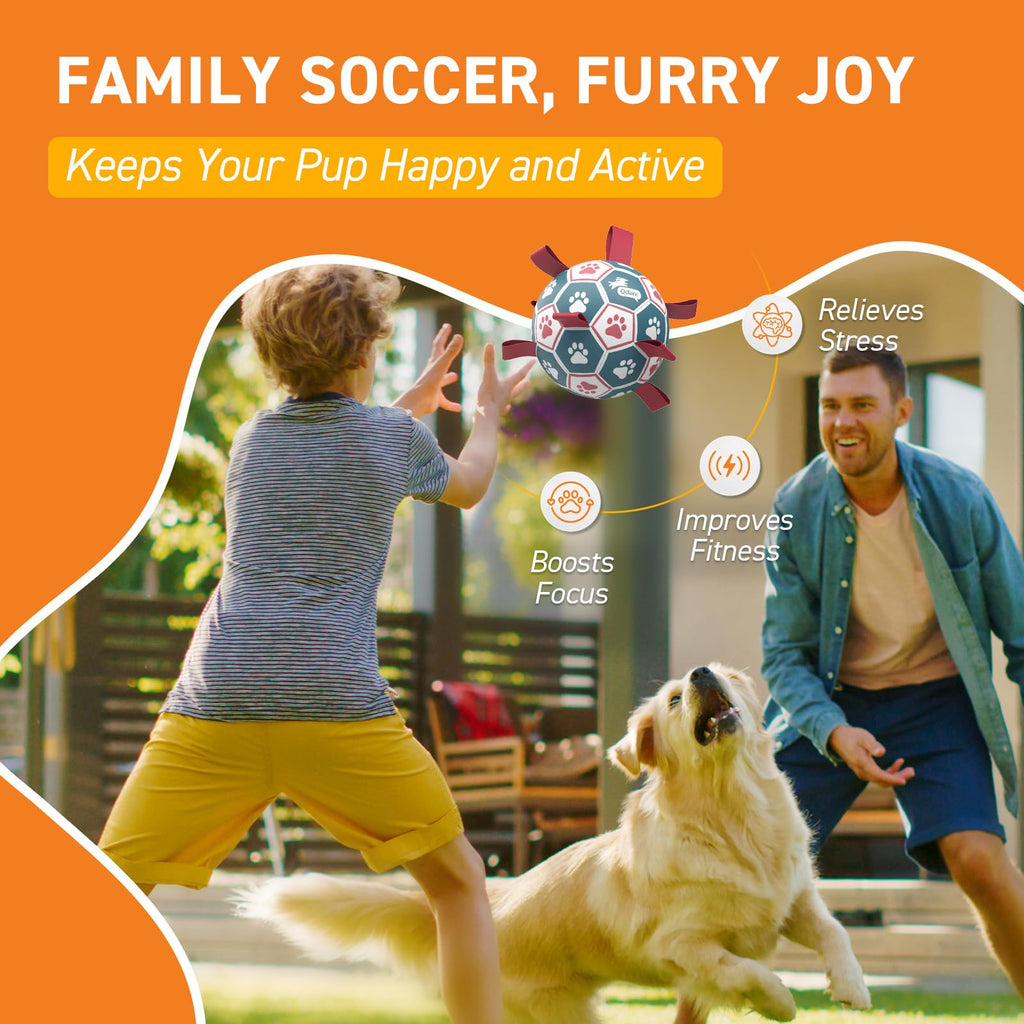 6 Inch Dog Soccer Ball with Straps F973950
