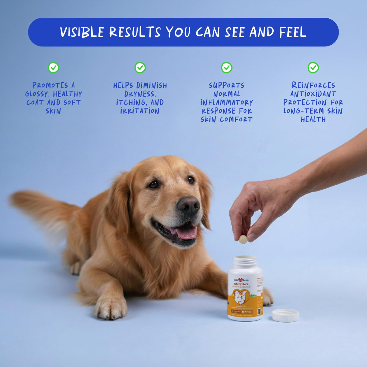 Omega 3 Fish Oil Skin and Coat Supplement D9340
