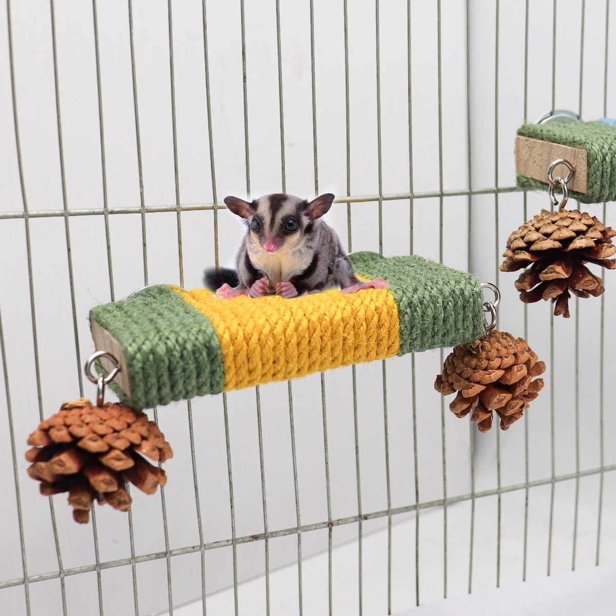 2 Pack Cage Platform with Rope and Pine Cone Decor I392962