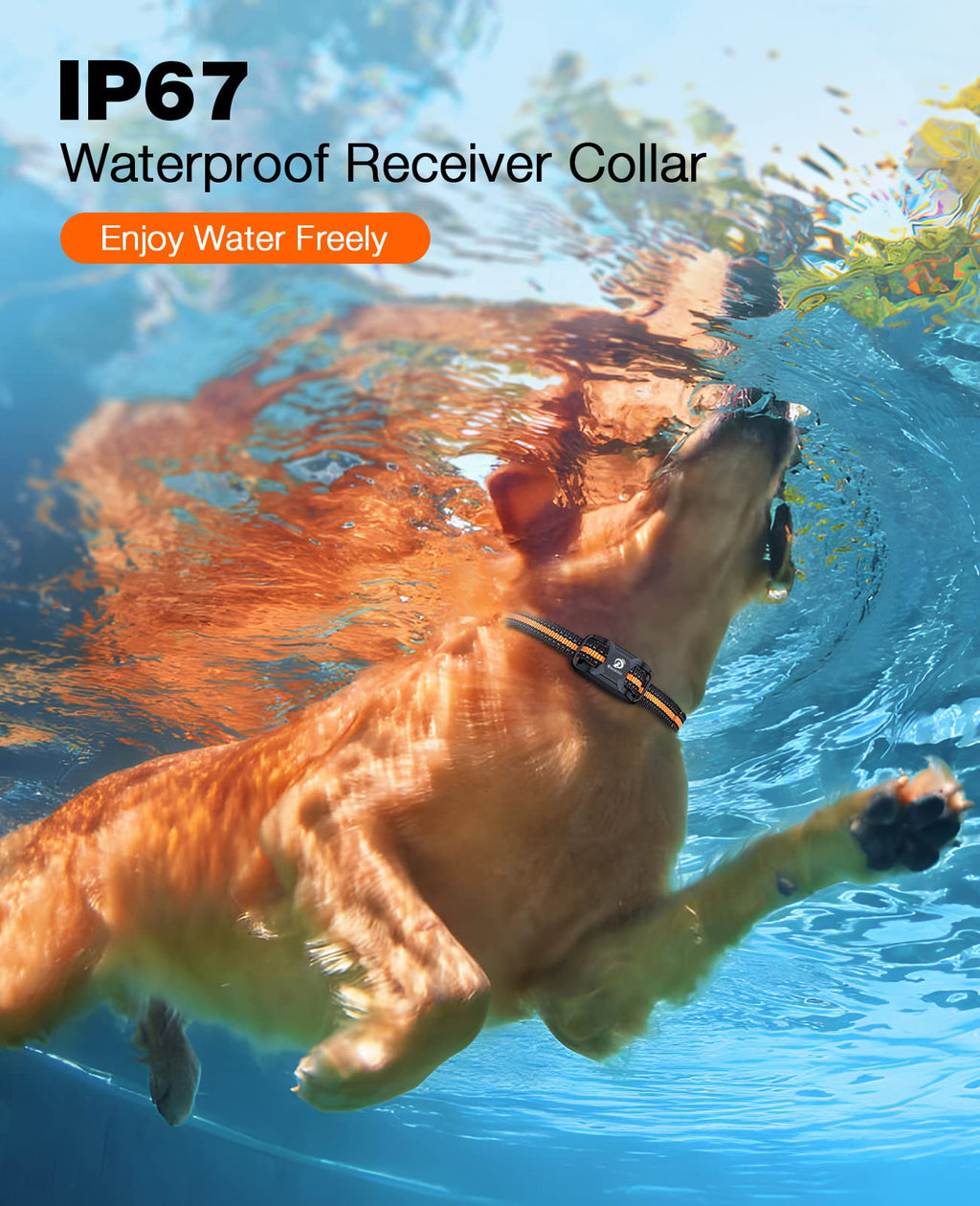 Rechargeable Waterproof Dog Training Collar with Remote E4632