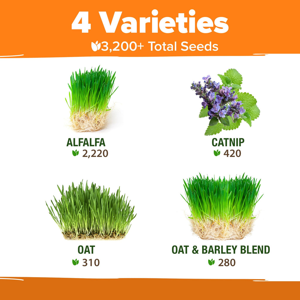 Indoor Cat Grass Refill 3,200+ Seeds R3152