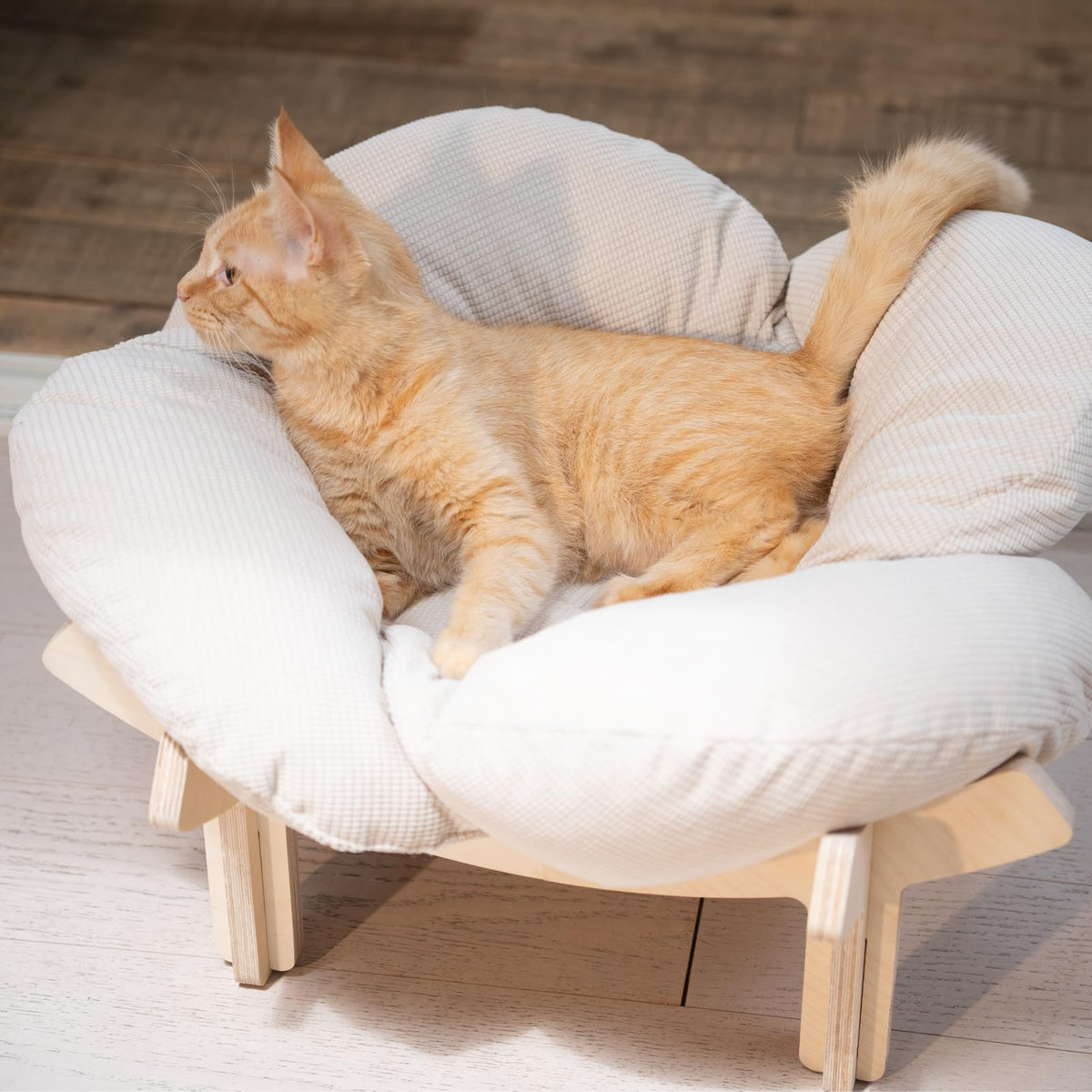 Elevated Cat Bed I143