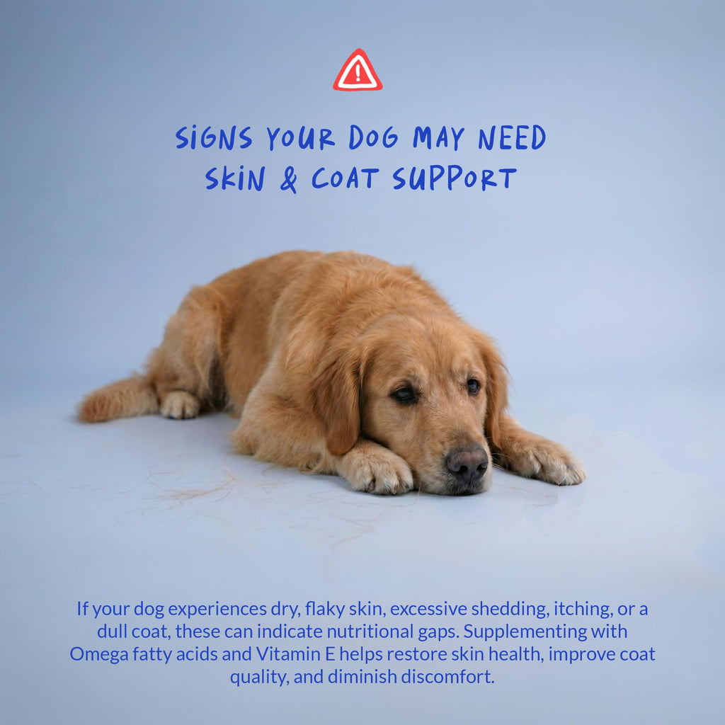 Omega 3 Fish Oil Skin and Coat Supplement D9340