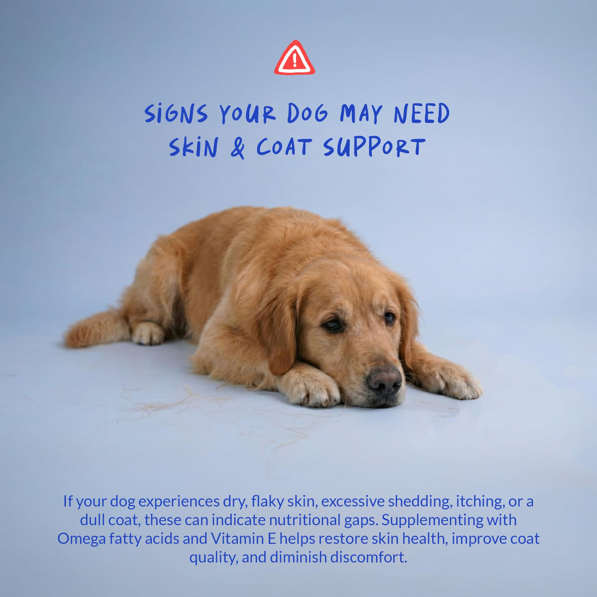 Omega 3 Fish Oil Skin and Coat Supplement D9340