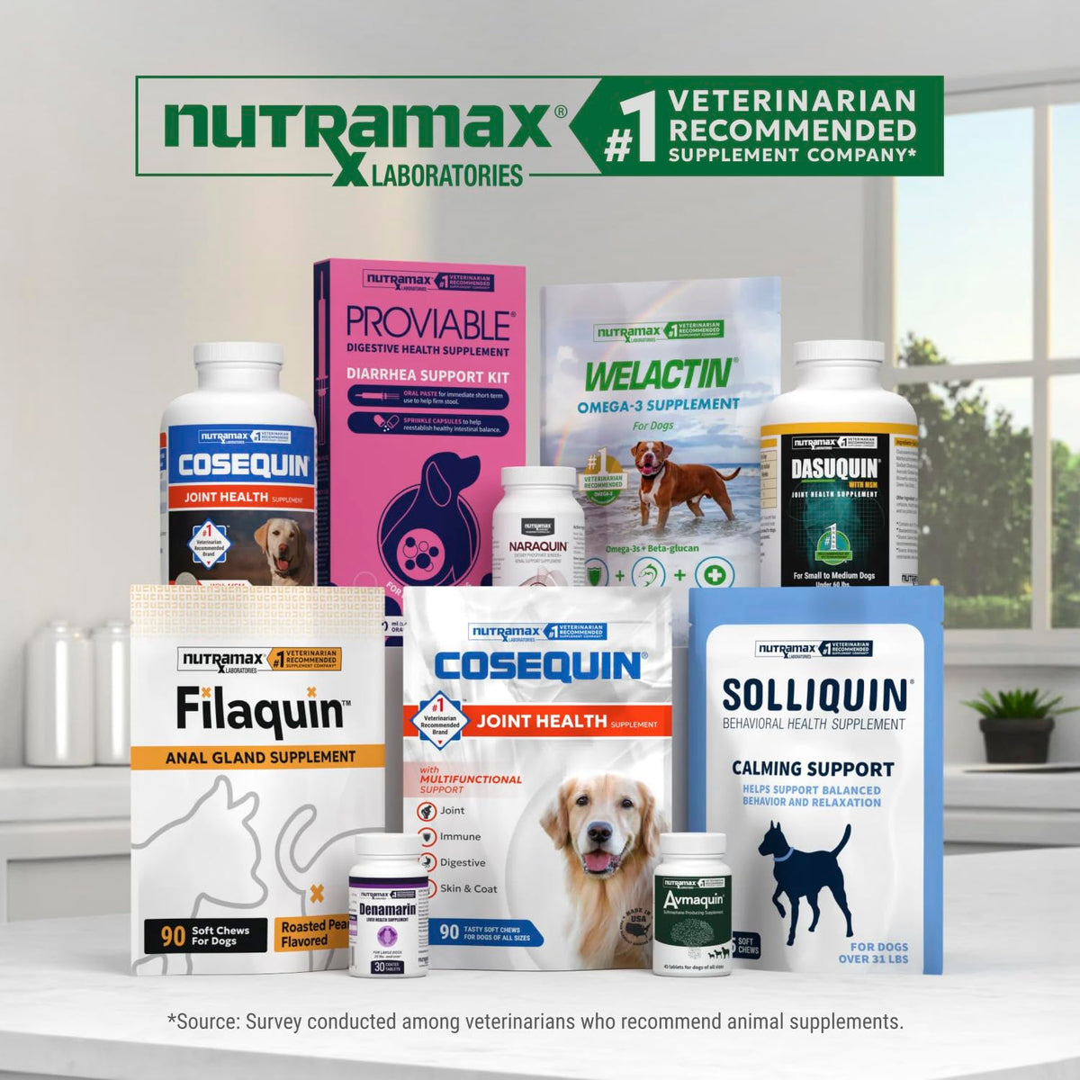 Chewable Tablets Joint Health Supplement for Small to Medium Dogs, 150 Count N908