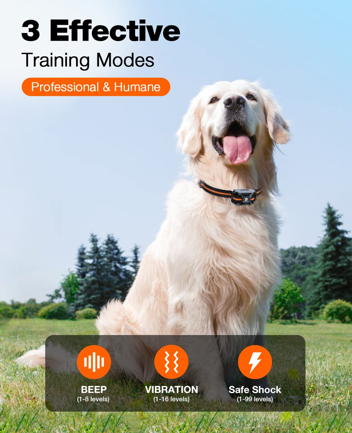 Rechargeable Waterproof Dog Training Collar with Remote E4632