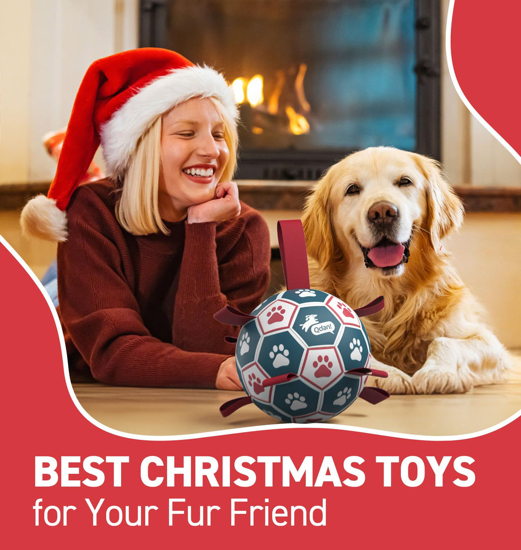 6 Inch Dog Soccer Ball with Straps F973950