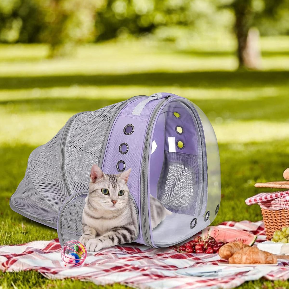 Expandable Cat Carrier Backpack with Bubble Window O483875