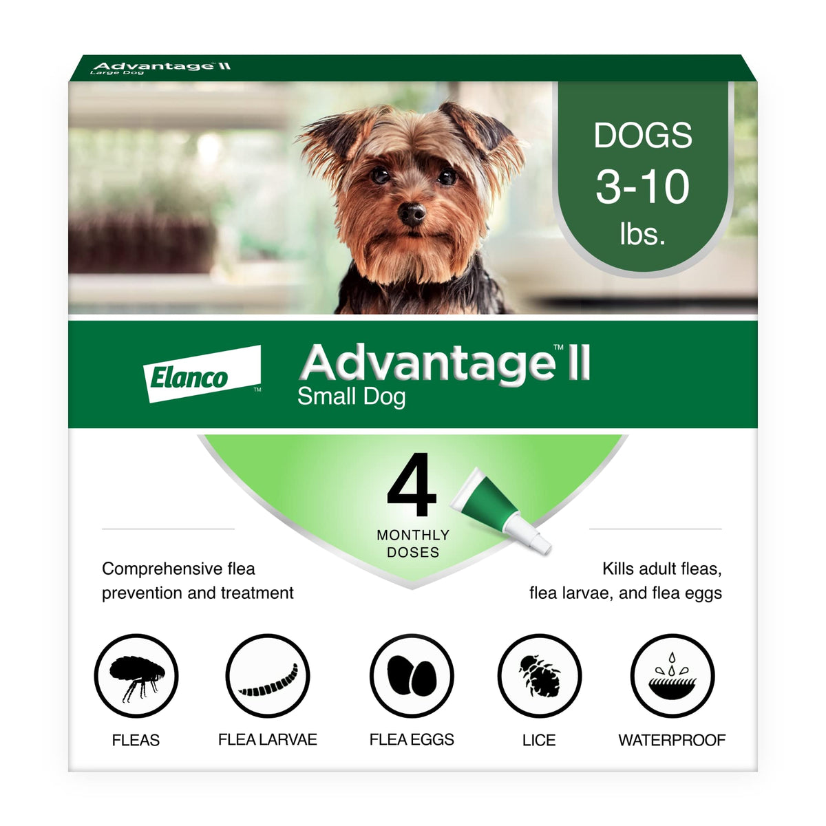 Small Dog Flea Treatment & Prevention 4-Month Supply C25182