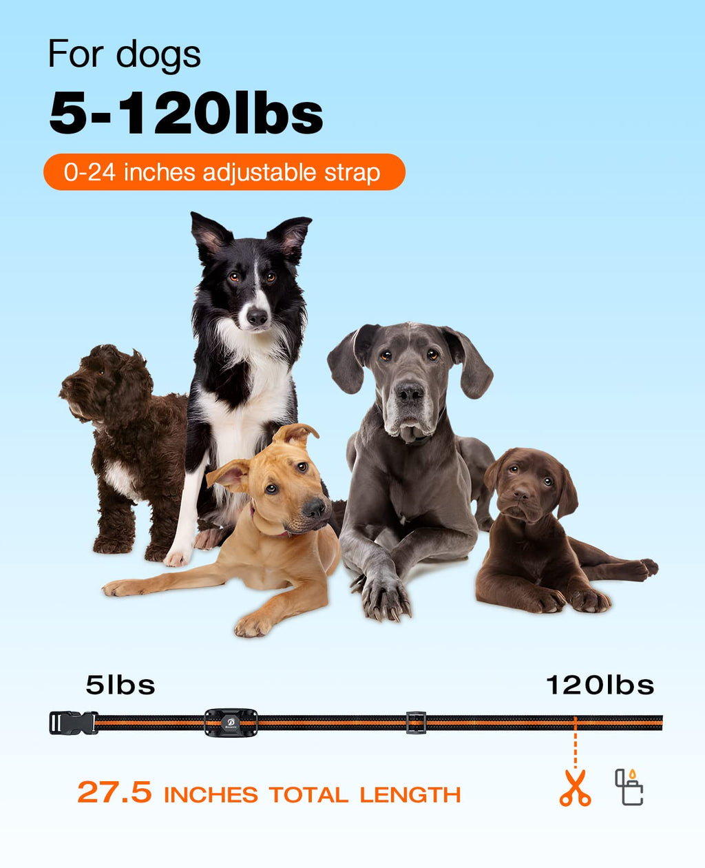 Rechargeable Waterproof Dog Training Collar with Remote E4632