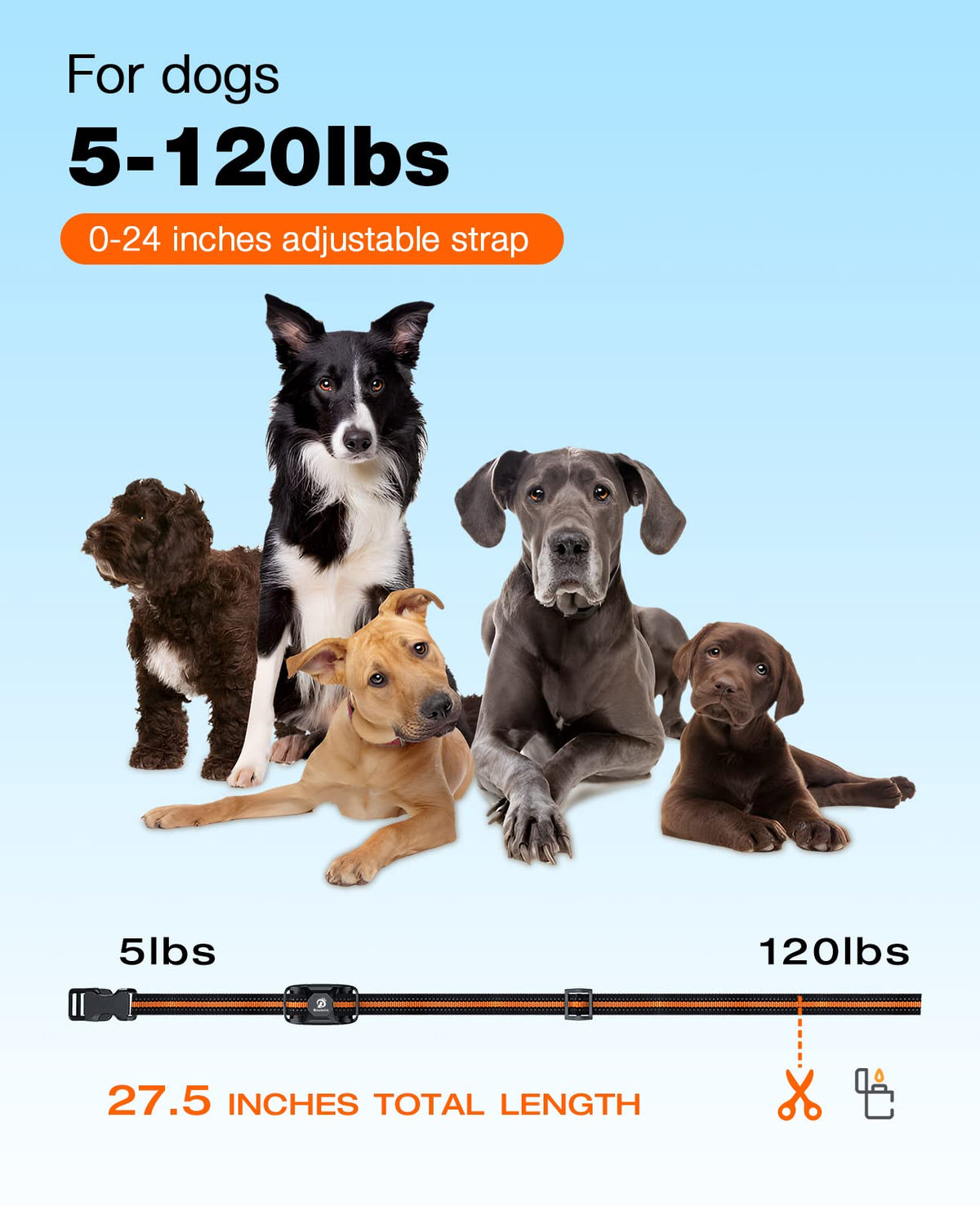 Rechargeable Waterproof Dog Training Collar with Remote E4632
