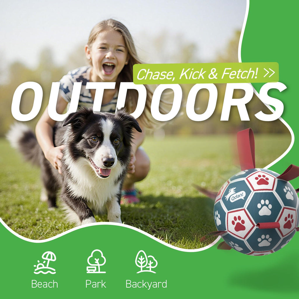 6 Inch Dog Soccer Ball with Straps F973950