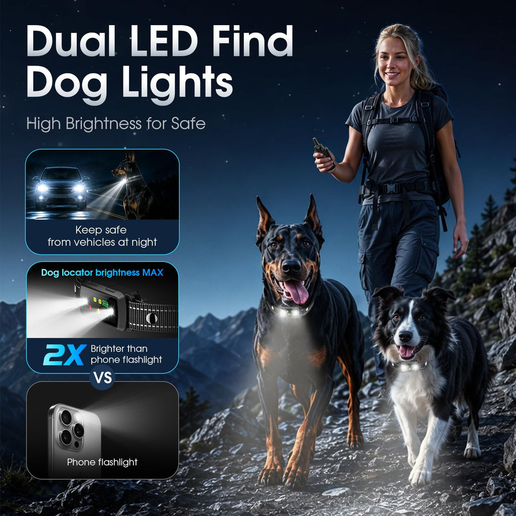 2 Dogs Waterproof Dog Training Collar with Remote M32160