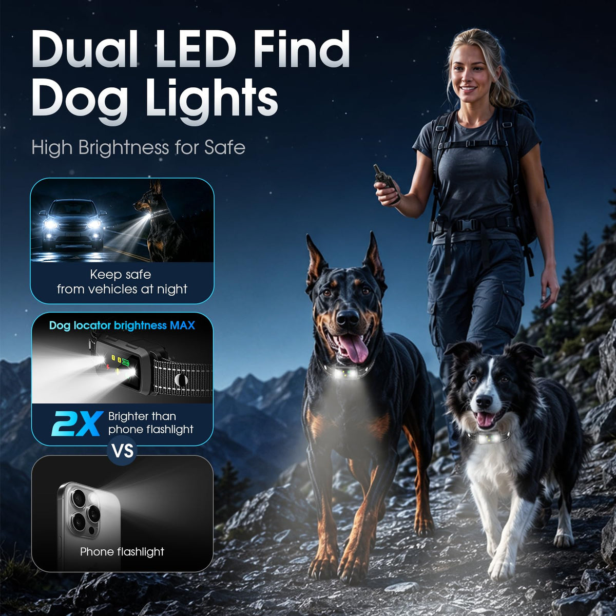 2 Dogs Waterproof Dog Training Collar with Remote M32160