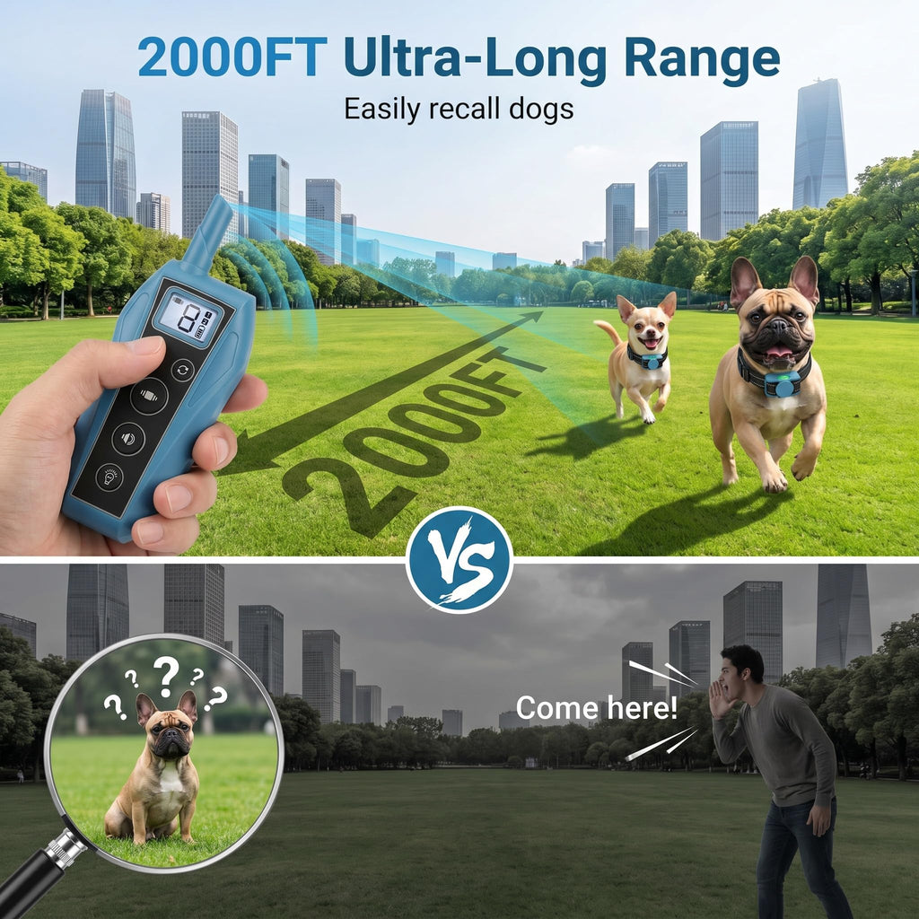 Vibration Dog Training Collar with Remote S3451