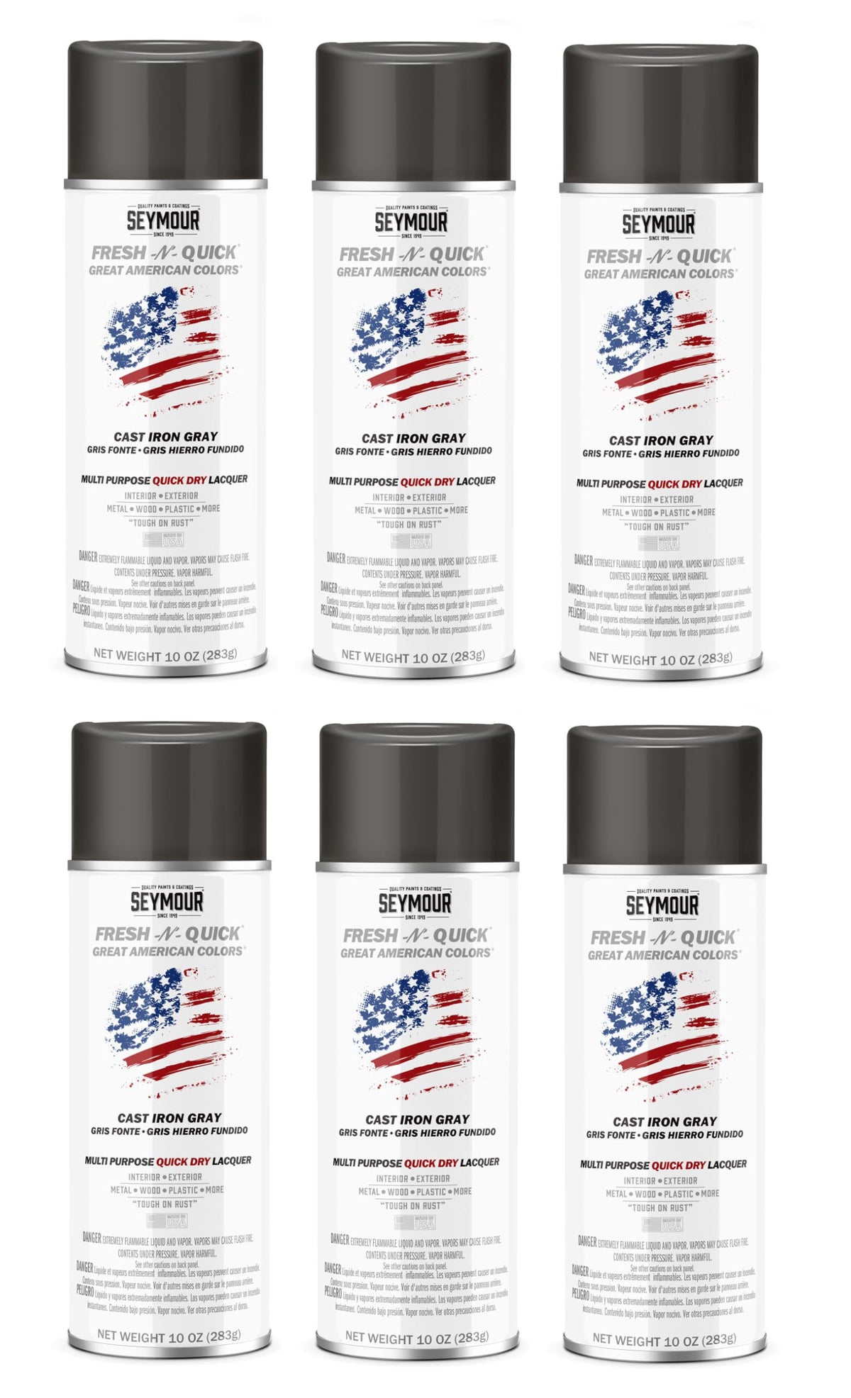 Cast Iron Gray Multi-Purpose Spray Paint 6-Pack E5474