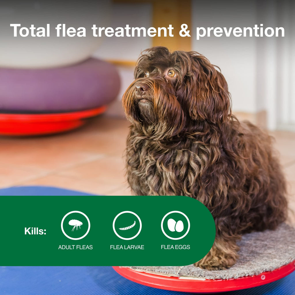 Small Dog Flea Treatment & Prevention 4-Month Supply C25182