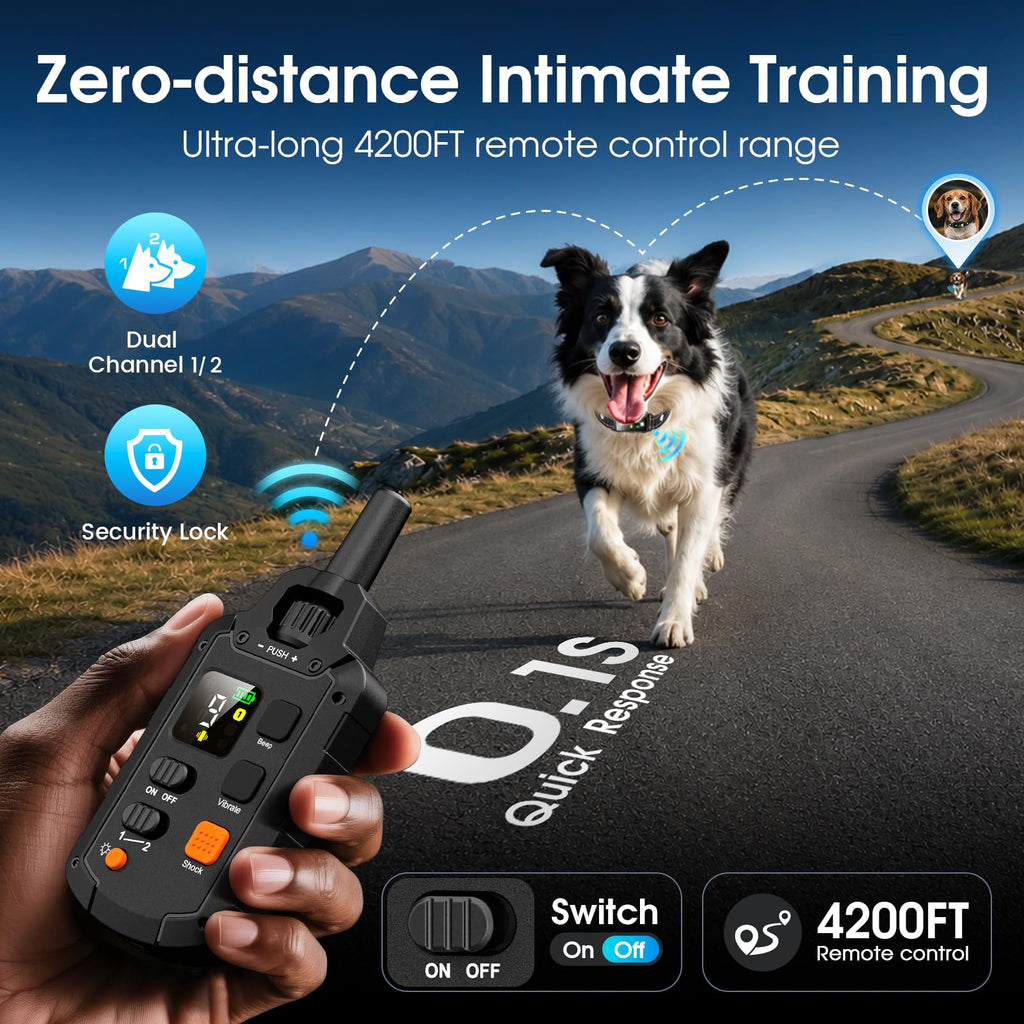 2 Dogs Waterproof Dog Training Collar with Remote M32160