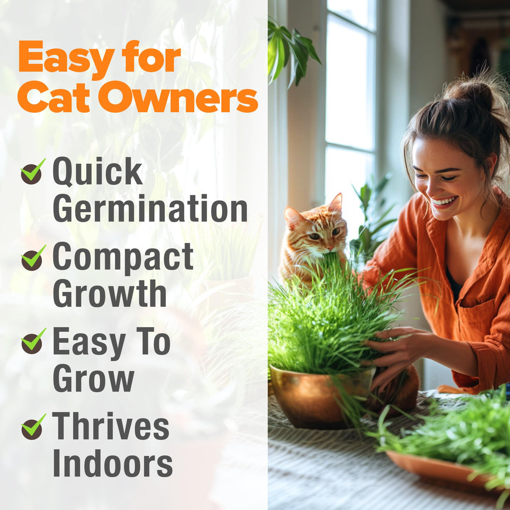 Indoor Cat Grass Refill 3,200+ Seeds R3152