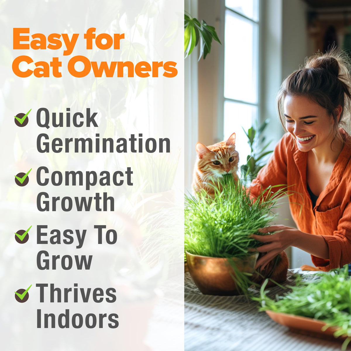 Indoor Cat Grass Refill 3,200+ Seeds R3152
