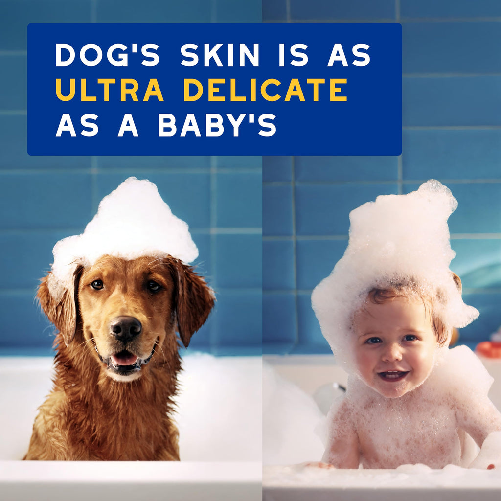 Oatmeal Dog Shampoo, 16 fl oz L153130