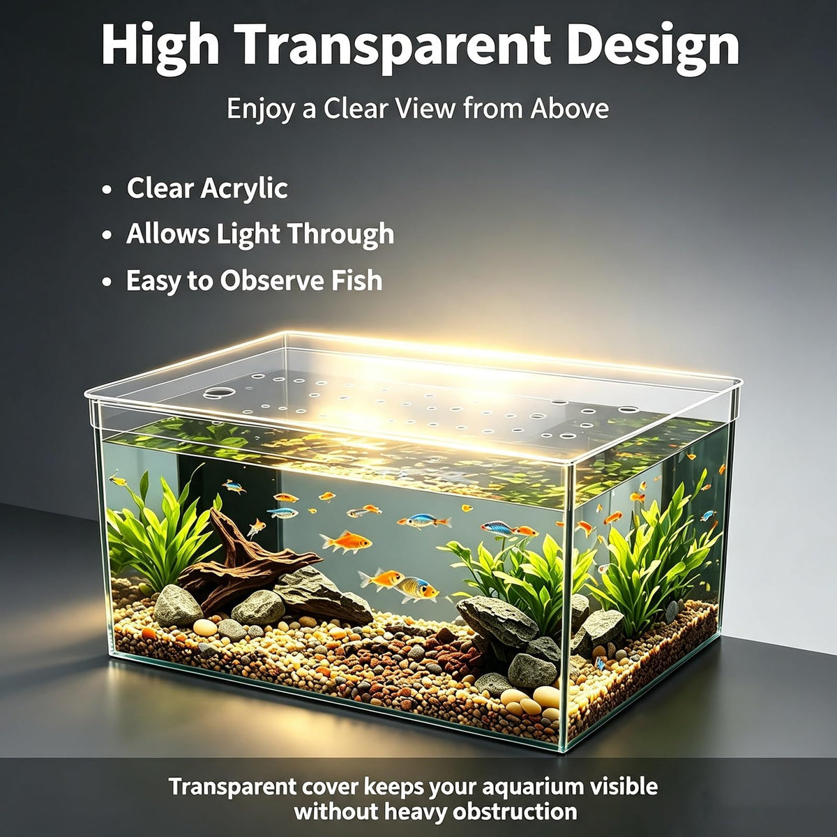 Ventilated Fish Tank Lid for 10-20 Gallon Aquariums N88566
