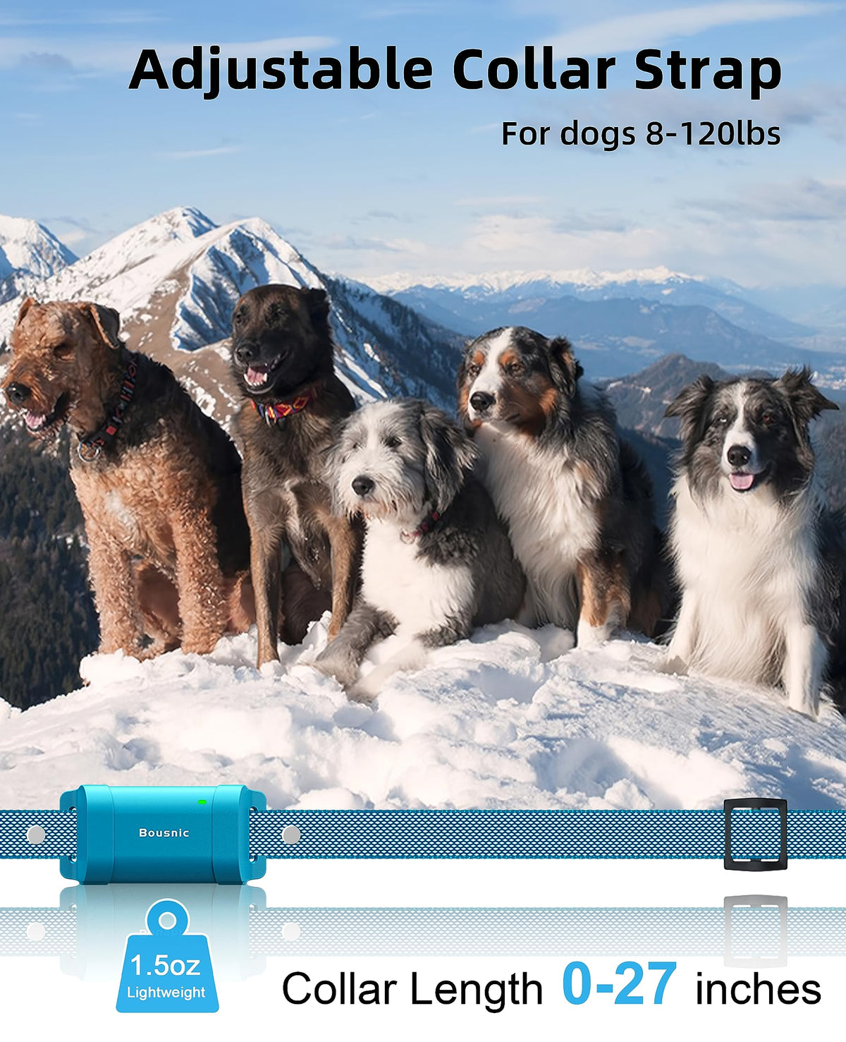 Waterproof Dog Training Collar with Remote E2546