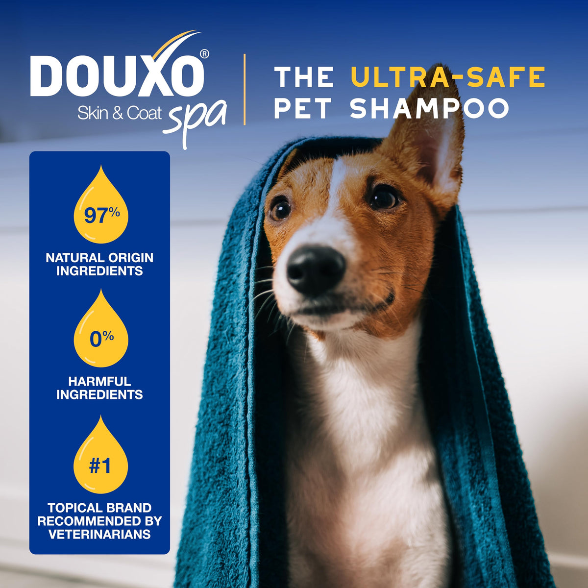 Oatmeal Dog Shampoo, 16 fl oz L153130