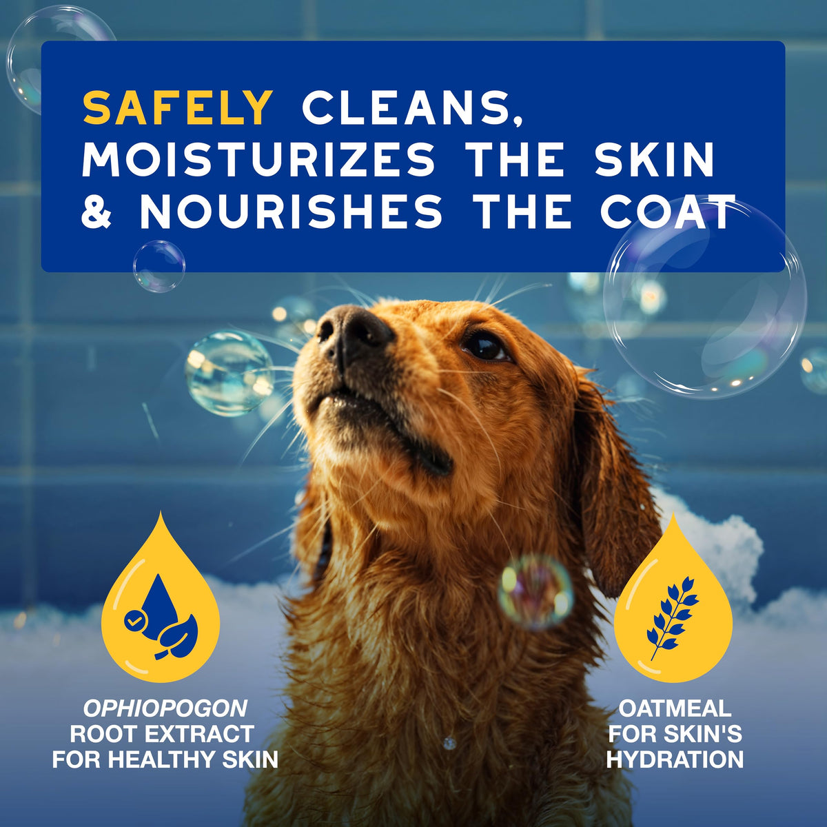 Oatmeal Dog Shampoo, 16 fl oz L153130