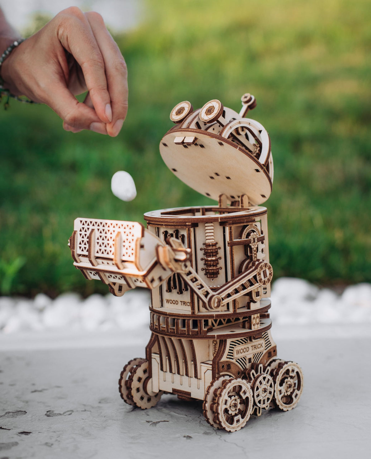 3D Wooden Puzzle W709390