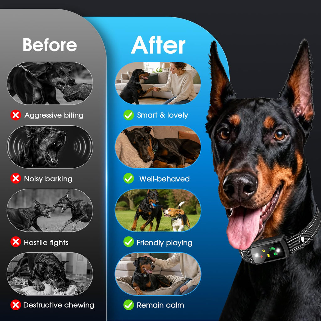 2 Dogs Waterproof Dog Training Collar with Remote M32160