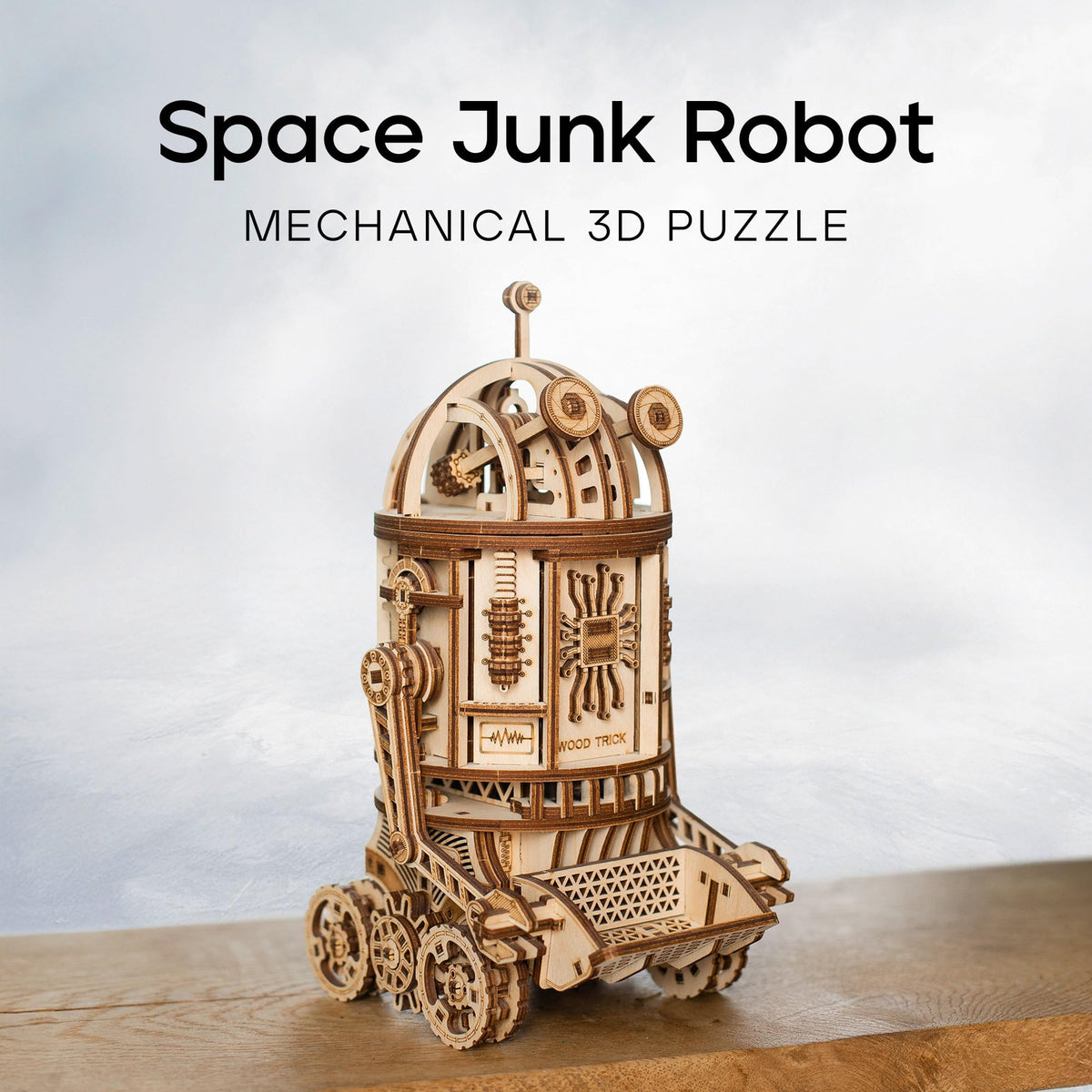 3D Wooden Puzzle W709390