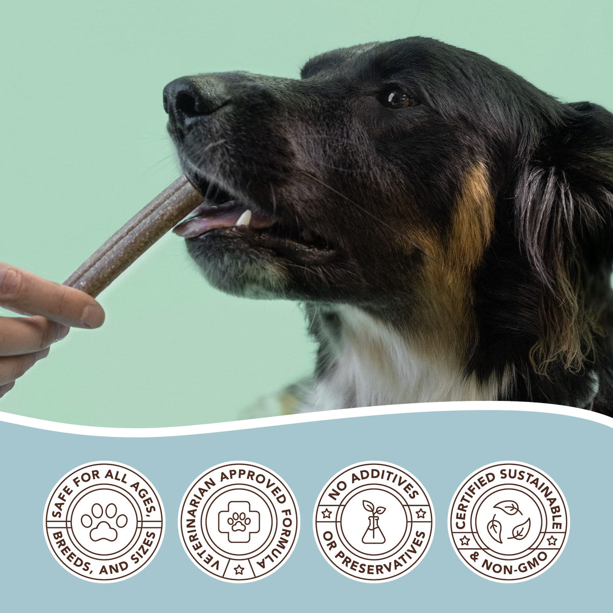 Dental Chews for Dogs 18 Count F792