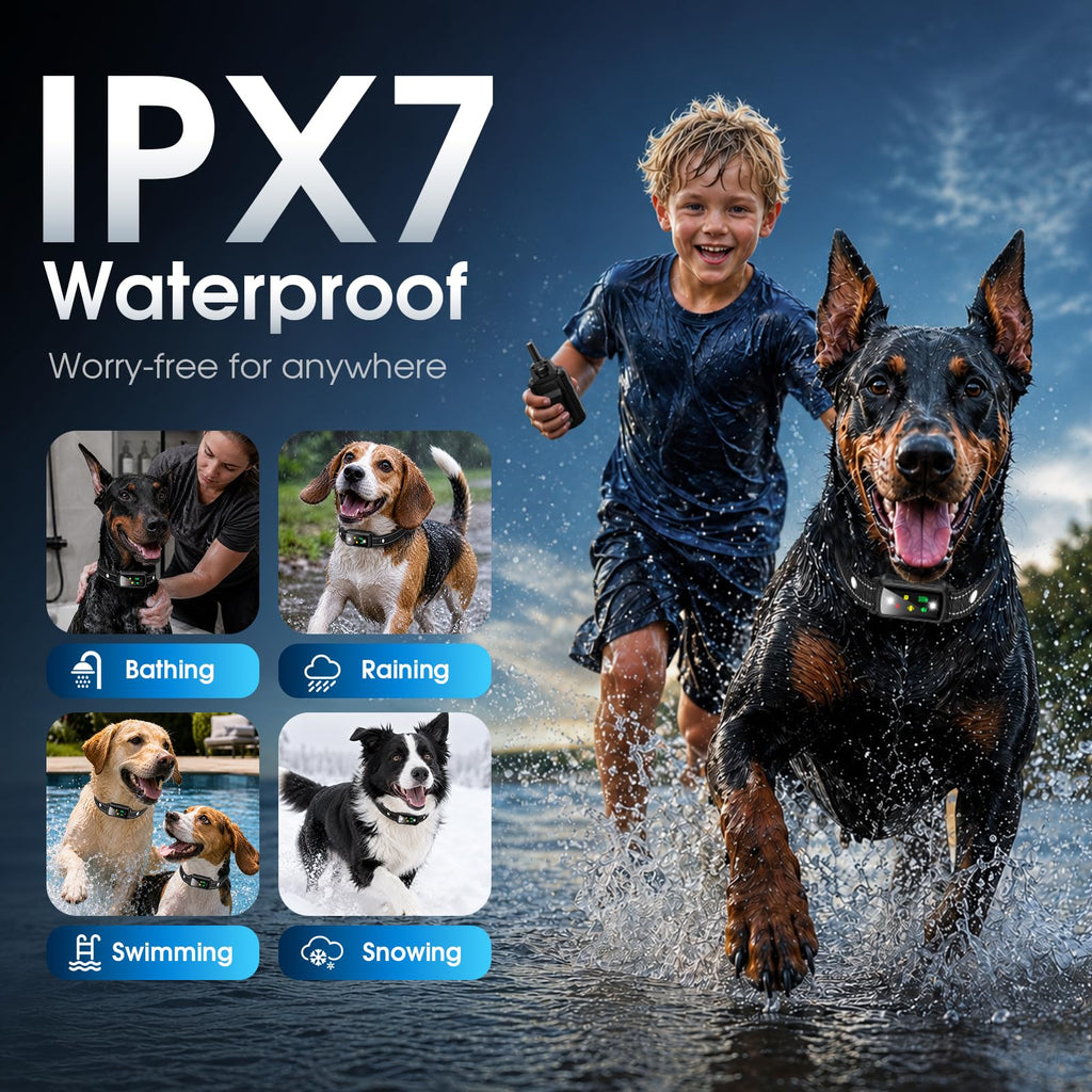 2 Dogs Waterproof Dog Training Collar with Remote M32160