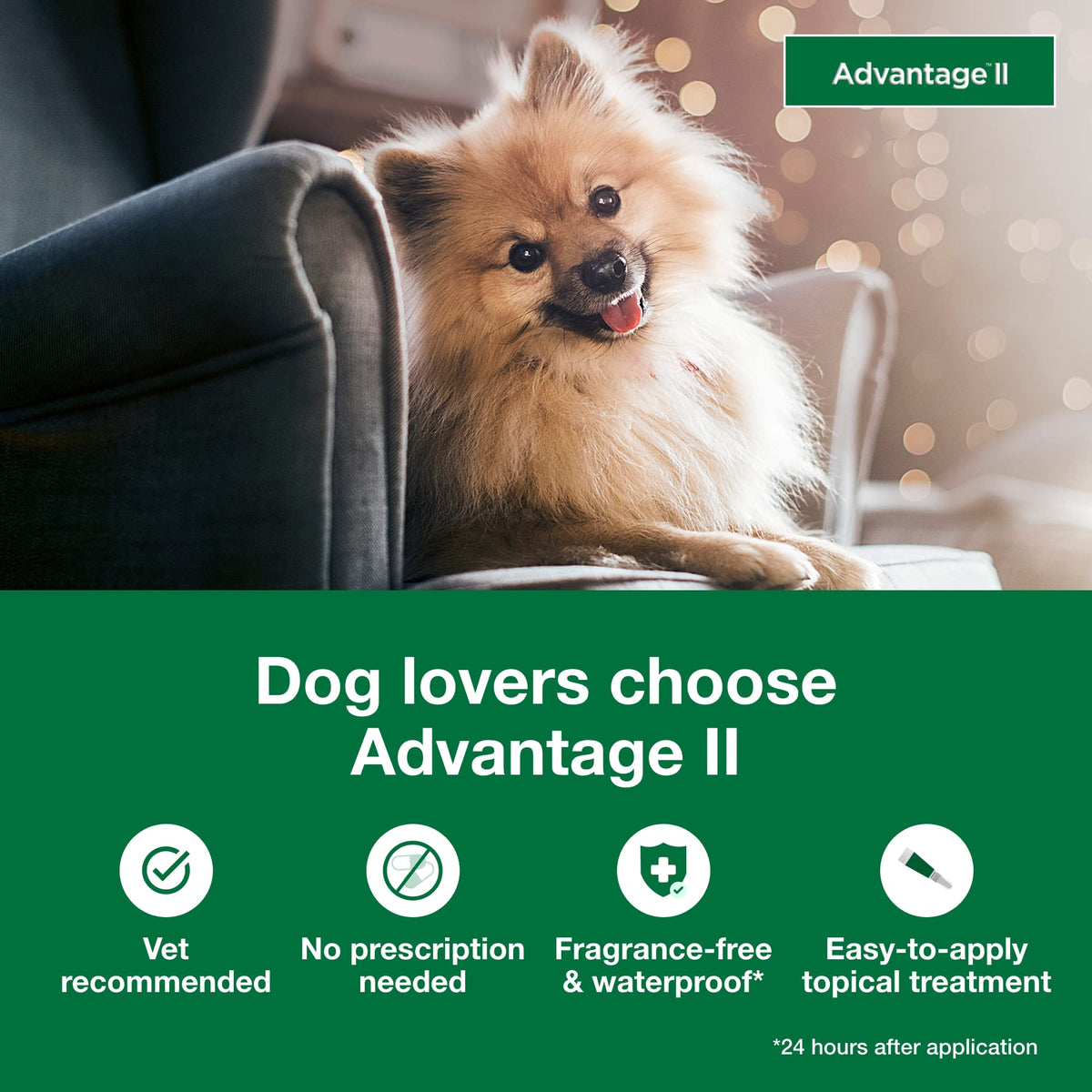 Small Dog Flea Treatment & Prevention 4-Month Supply C25182