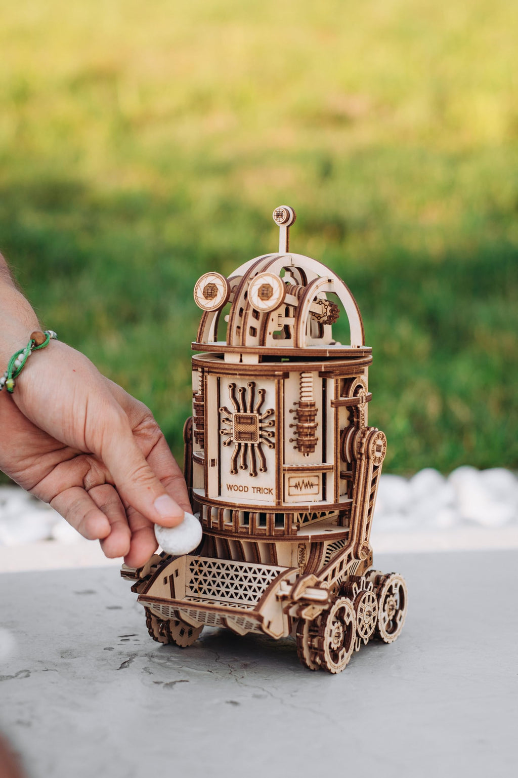 3D Wooden Puzzle W709390