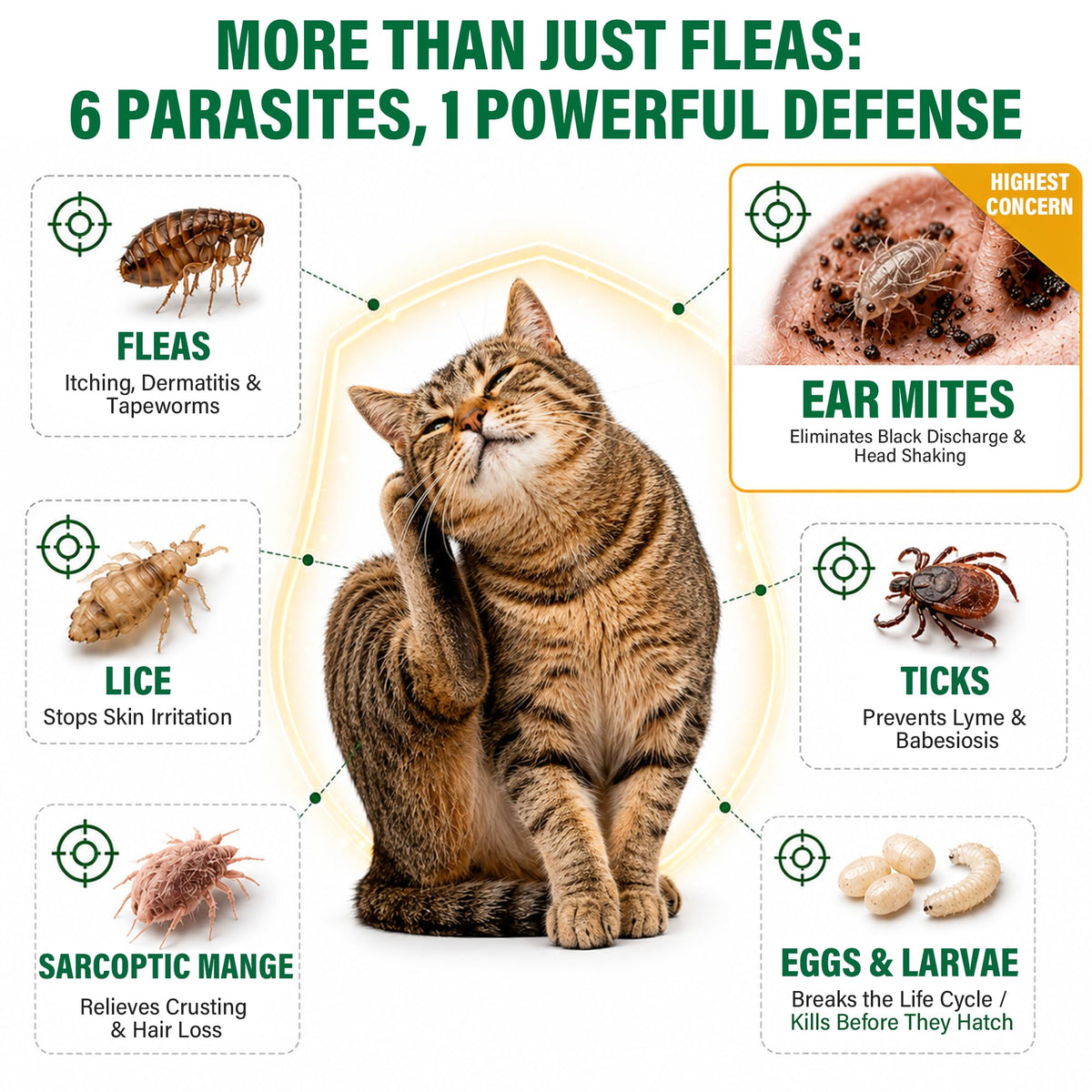 Cat Flea & Tick Topical Drops 12 Doses C8287