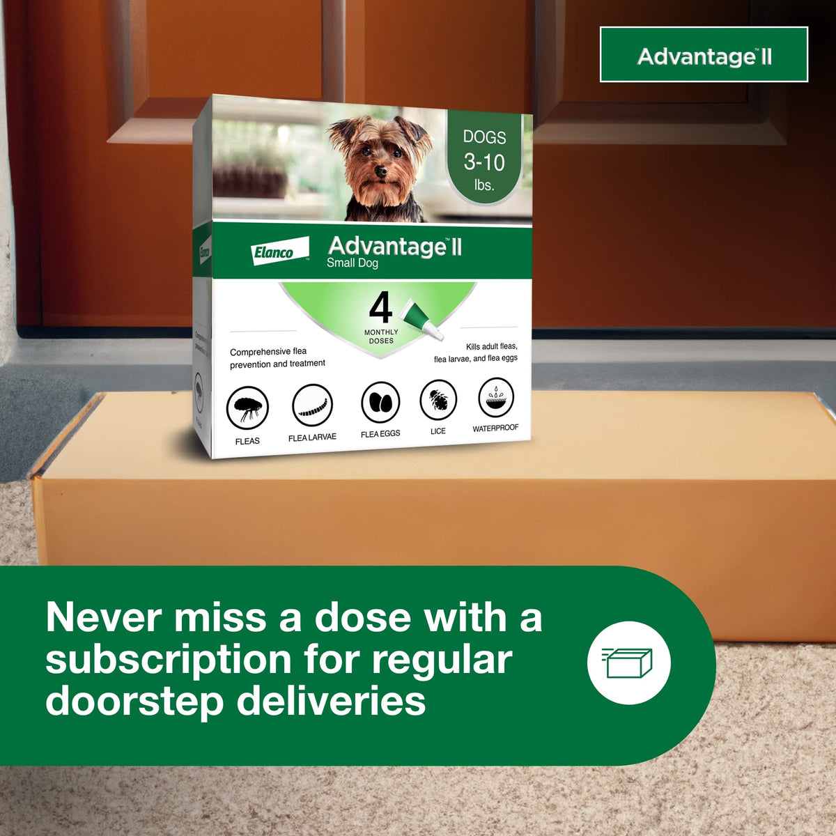 Small Dog Flea Treatment & Prevention 4-Month Supply C25182