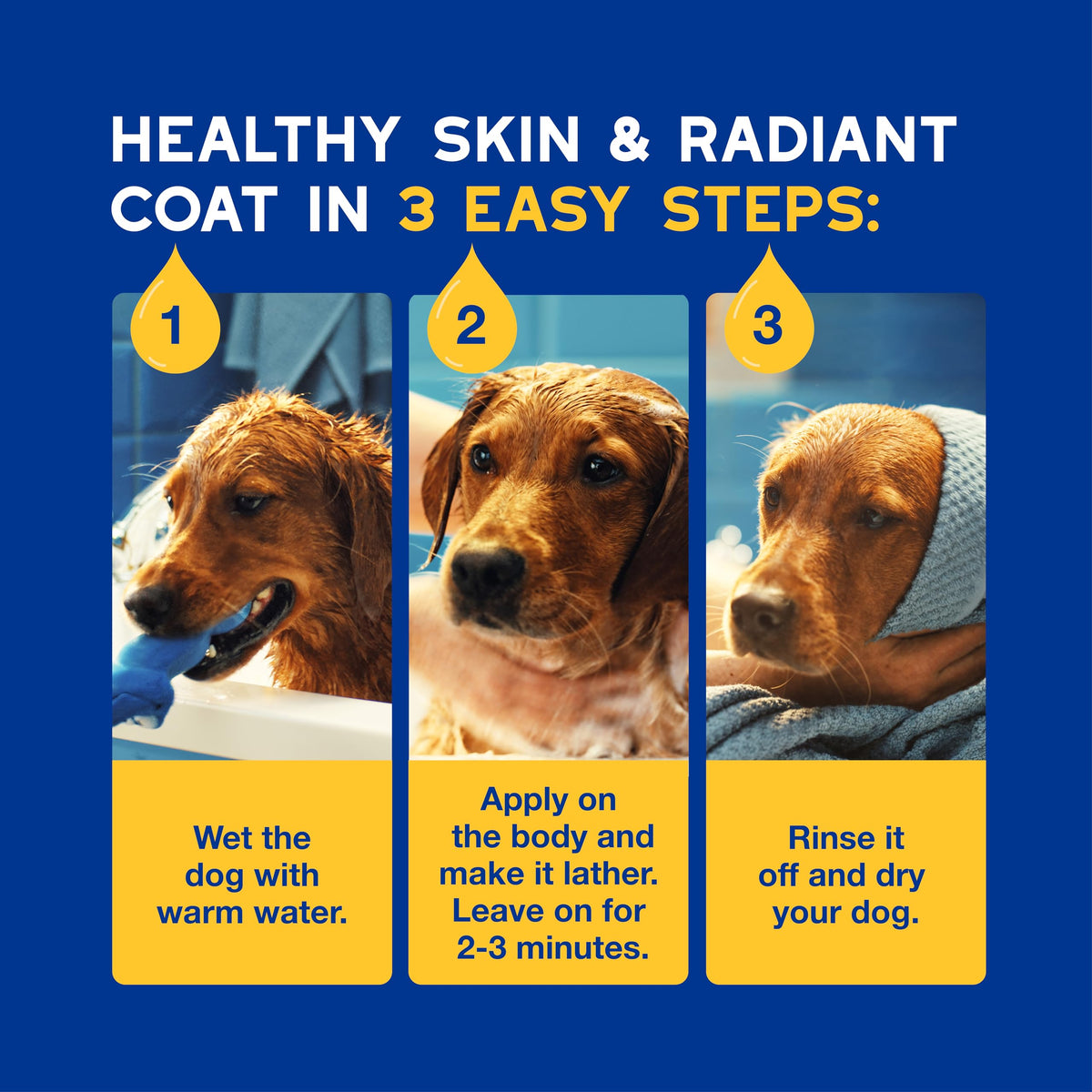 Oatmeal Dog Shampoo, 16 fl oz L153130