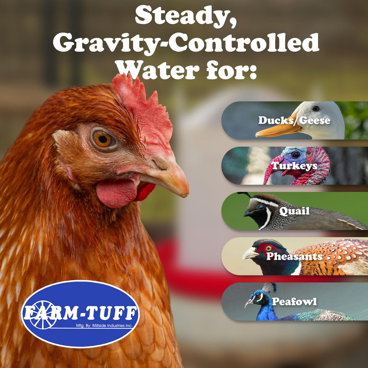 5 Gallon Plastic Poultry Waterer Z966735