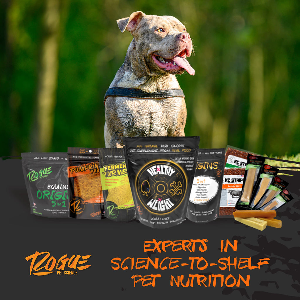 Large-Dog Bundle with 5-in-1 Dog-Food Topper and Weight Gainer I779180