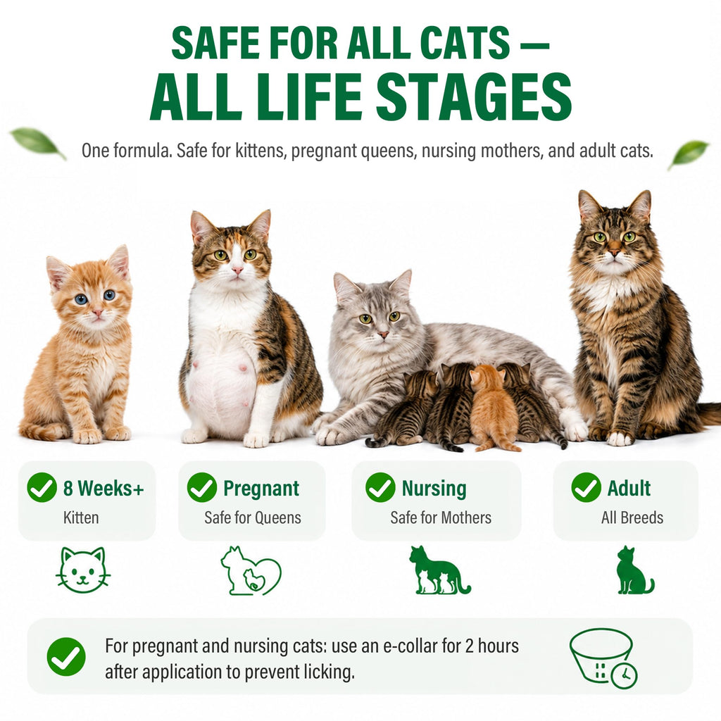 Cat Flea & Tick Topical Drops 12 Doses C8287