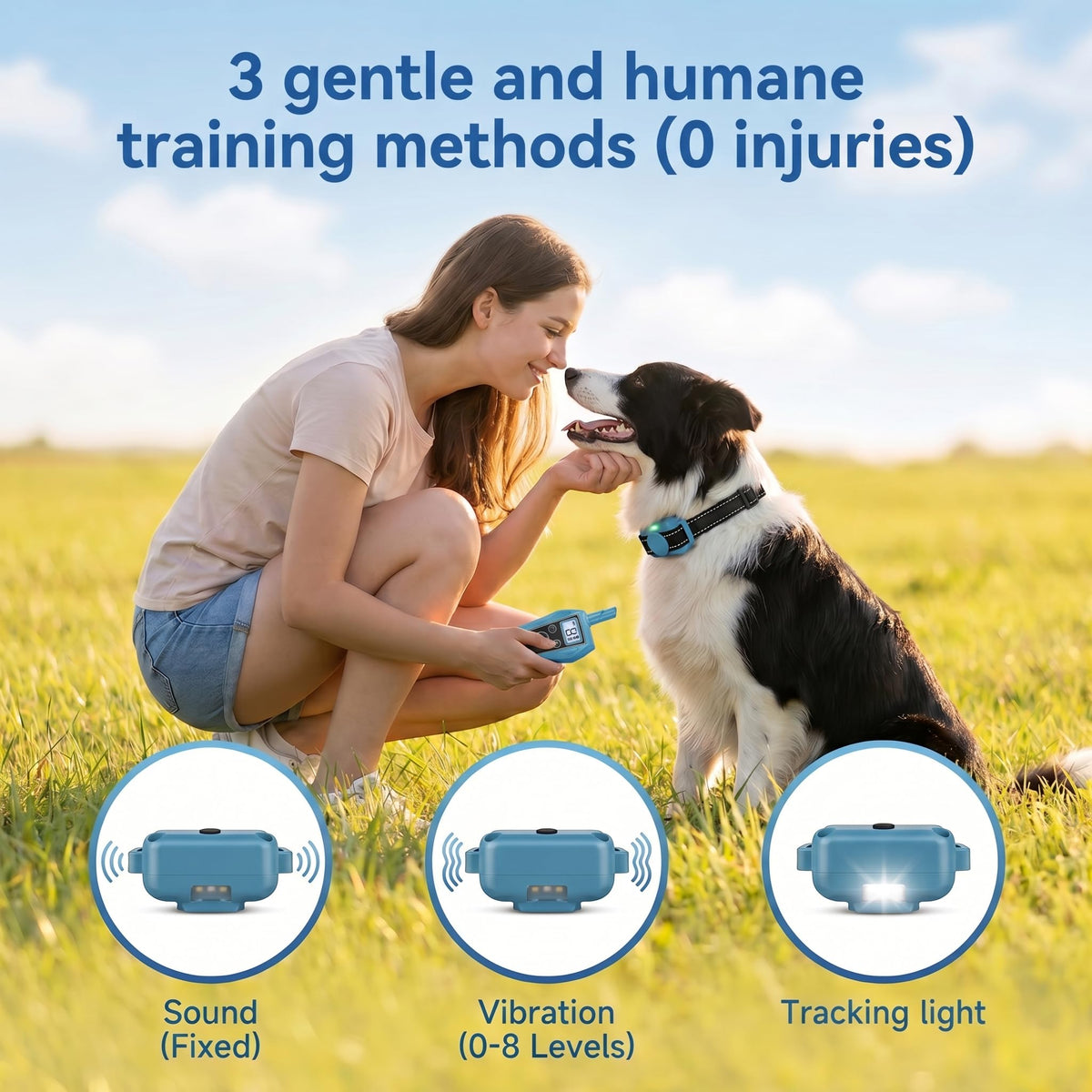 Vibration Dog Training Collar with Remote S3451